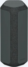 Sony SRS-XE300 black