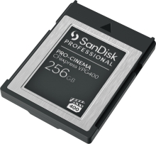 SanDisk Professional PRO-CINEMA R1700/W1400 CFexpress Type B 256GB
