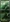 Motorola Moto G35 5G 256GB/4GB Leaf Green