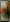Motorola Moto G55 5G 256GB Smoky Green