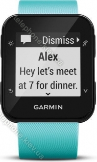 Garmin Forerunner 35 frost blue 