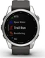Garmin Fenix 7S silver/graphite