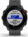 Garmin Forerunner 55 monterra grey 
