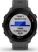 Garmin Forerunner 55 monterra grey