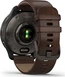 Garmin Venu 2 Plus cream slate/slate brown