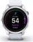 Garmin epix 2S Pro whitestone/silver