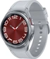 Samsung Galaxy Watch 6 Classic LTE 43mm silver