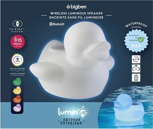 BigBen Lumin'us duck