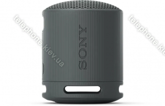 Sony SRS-XB100 black