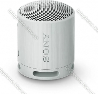 Sony SRS-XB100 grey