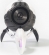 Zoeao Gravastar F white