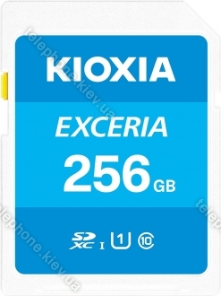 KIOXIA EXCERIA R100 SDXC 256GB, UHS-I U1, Class 10
