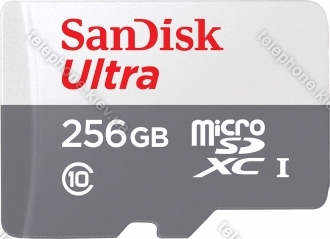SanDisk Ultra R100 microSDXC 256GB Kit, UHS-I, Class 10