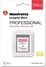 Delkin Manfrotto Professional R1730/W1540 CFexpress 2.0 Type B 256GB