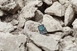 Kingston Canvas Go! R90/W45 microSDXC 64GB, UHS-I U3, Class 10