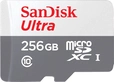 SanDisk Ultra R100 microSDXC 256GB, UHS-I, Class 10