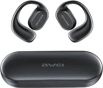 Awei T69
